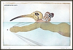 Michel Lablais: Etching Swimming Birdman 